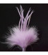 POMO DE PLUMAS DE MARABÚ/OCA