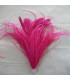 OSTRICH/ROOSTER FEATHERS POM