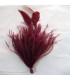 OSTRICH/ROOSTER FEATHERS POM