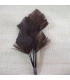 OSTRICH ARROW QUILLS