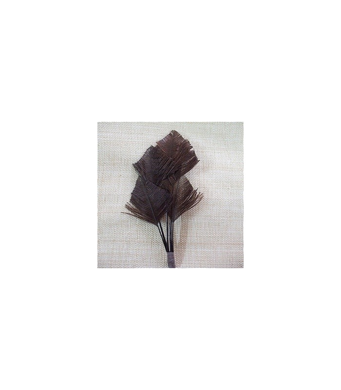 OSTRICH ARROW QUILLS