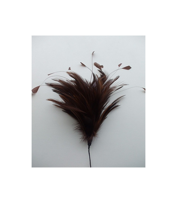 POMO DE PLUMAS DE GALLO