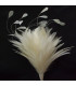 POMO DE PLUMAS DE GALLO