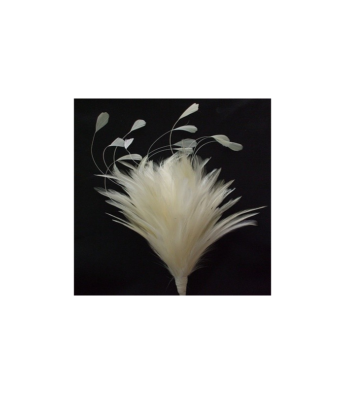 POMO DE PLUMAS DE GALLO