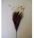 POMO DE PLUMAS DE GALLO