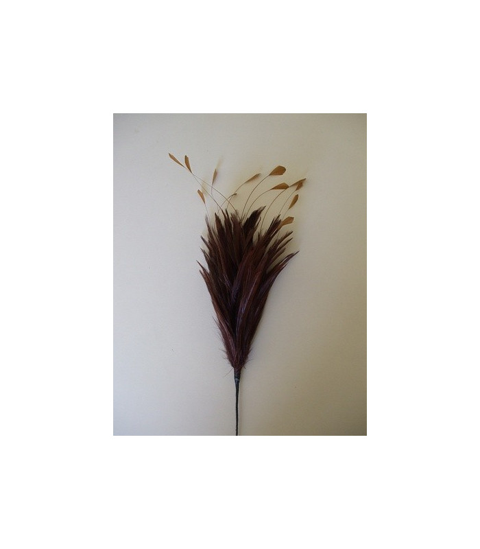 POMO DE PLUMAS DE GALLO