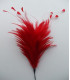 POMO DE PLUMAS DE GALLO