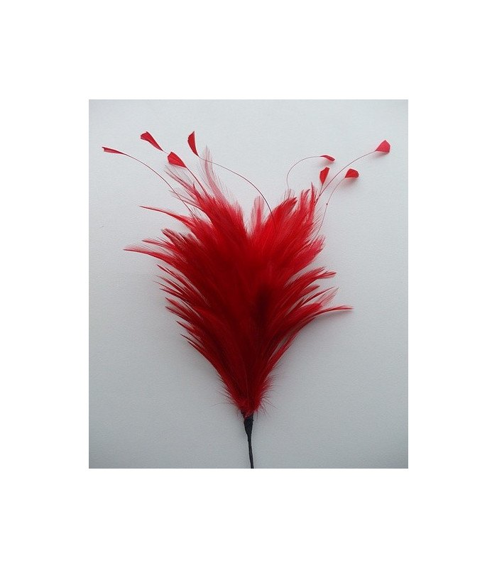 POMO DE PLUMAS DE GALLO