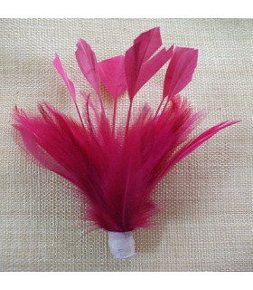 Montaje Plumas Ganso/antena Gallo Magenta 13 X 15 Cms. - de colores