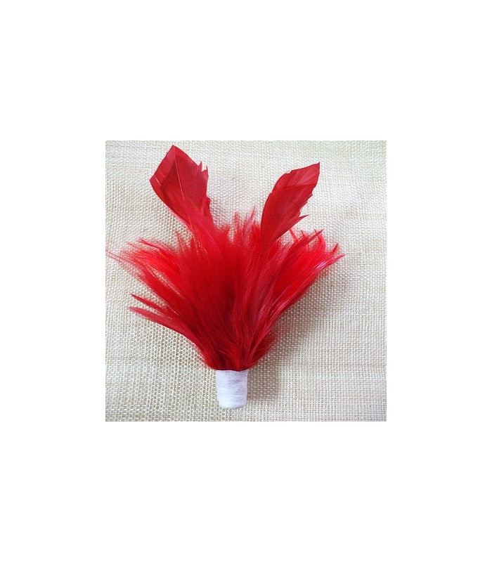 GOOSE FEATHERS/STRIPPED ROOSTER MOUNT