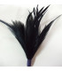 POMO DE PLUMAS DE OCA/GALLO