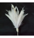 GOOSE/ROOSTER FEATHERS POM