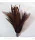 POMO DE PLUMAS DE OCA/GALLO