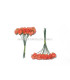 12 FLOWERS BUNDLE