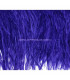OSTRICH FEATHERS FRINGE - 2 PLY. FIRST QUALITY - 10 CMS.