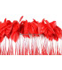 STRIPPED ROOSTER FEATHERS FIRST QUALITY  - 10 CMS.