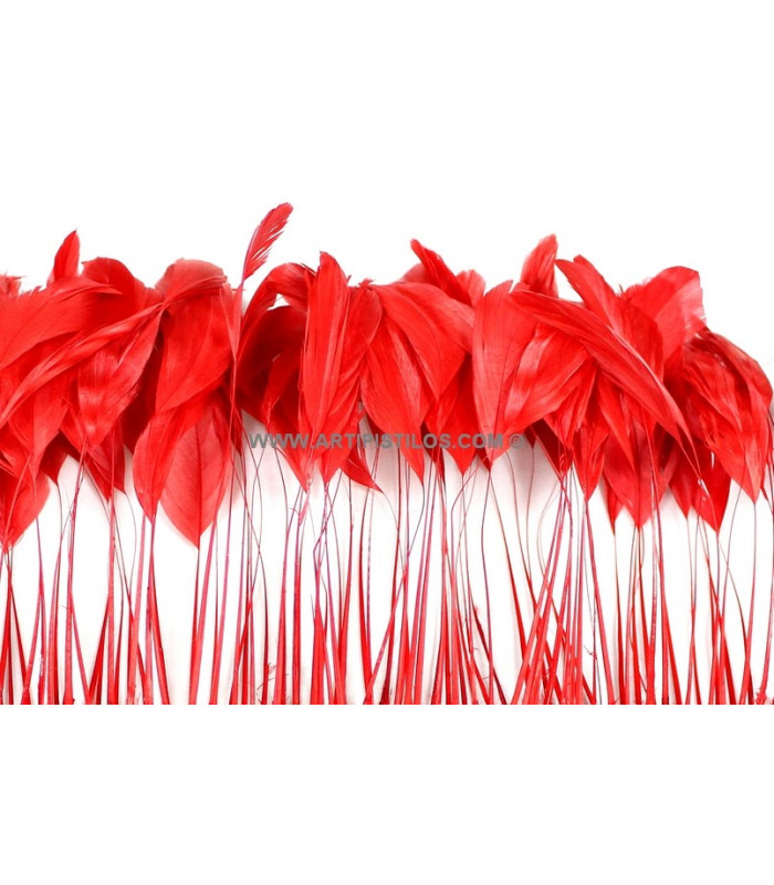 STRIPPED ROOSTER FEATHERS FIRST QUALITY  - 10 CMS.