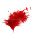 MONTAJE DE PLUMAS 35 x 12 cm
