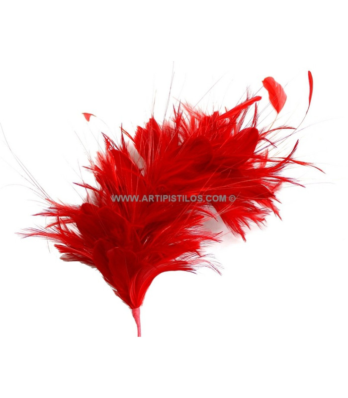 FEATHERS MOUNT 35 x 12 cm