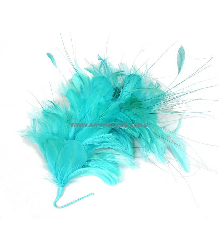 MONTAJE DE PLUMAS 35 x 12 cm
