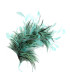 FEATHERS MOUNT