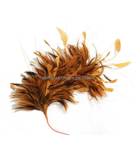 Montaje de plumas de gallo 35 x 15 cm