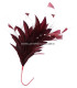 FEATHER MOUNT ROOSTER/OSTRICH/GOOSE