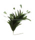 FEATHER MOUNT ROOSTER/OSTRICH/GOOSE