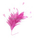 FEATHER MOUNT ROOSTER/OSTRICH/GOOSE