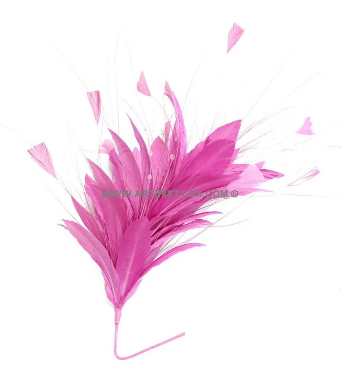 FEATHER MOUNT ROOSTER/OSTRICH/GOOSE