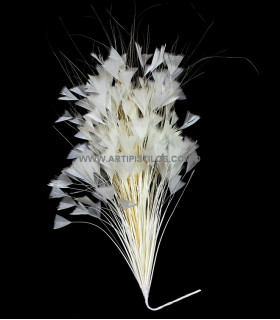 Triangle Tipped Stripped Coque & Burnt Peacock Feather Mount 30 X 15 Cm Ivory