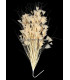 MONTAJE DE PLUMAS GALLO/AVESTRUZ 30 X 15 cm