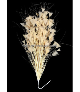 Triangle Tipped Stripped Coque & Burnt Peacock Feather Mount 30 X 15 Cm Almond