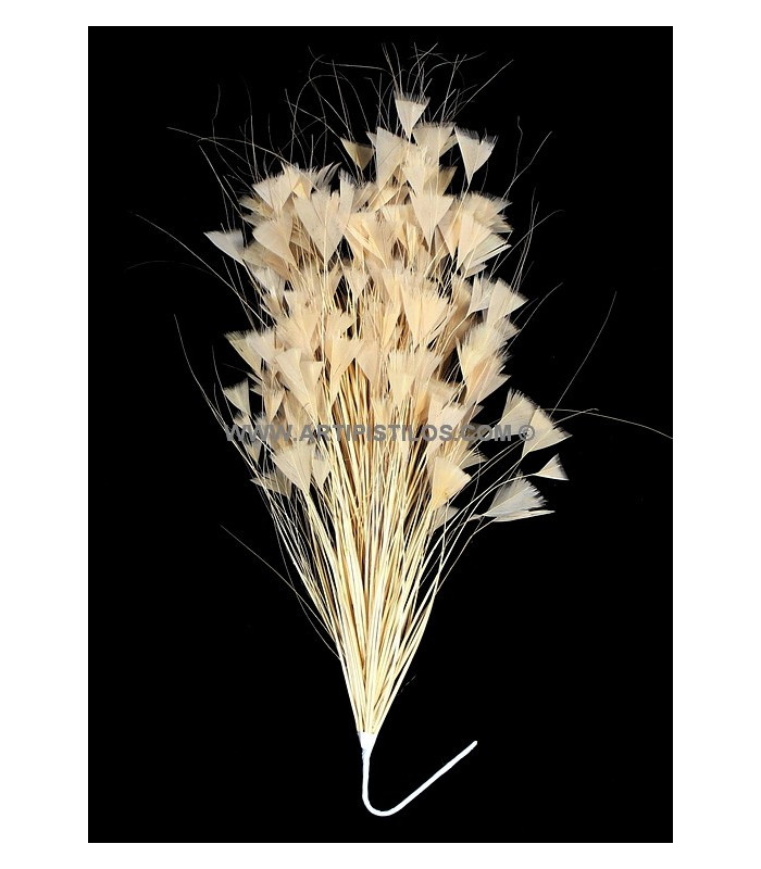 MONTAJE DE PLUMAS GALLO/AVESTRUZ 30 X 15 cm