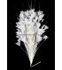 MONTAJE DE PLUMAS GALLO/AVESTRUZ 30 X 15 cm