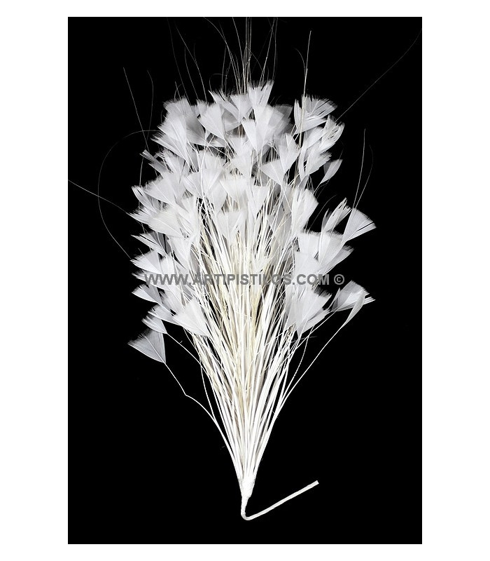 MONTAJE DE PLUMAS GALLO/AVESTRUZ 30 X 15 cm