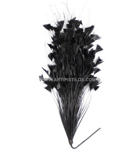 Triangle Tipped Stripped Coque & Burnt Peacock Feather Mount 30 X 15 Cm Black
