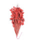MONTAJE DE PLUMAS GALLO/AVESTRUZ 30 X 15 cm