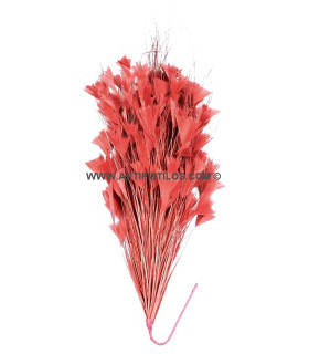 Triangle Tipped Stripped Coque & Burnt Peacock Feather Mount 30 X 15 Cm Corail