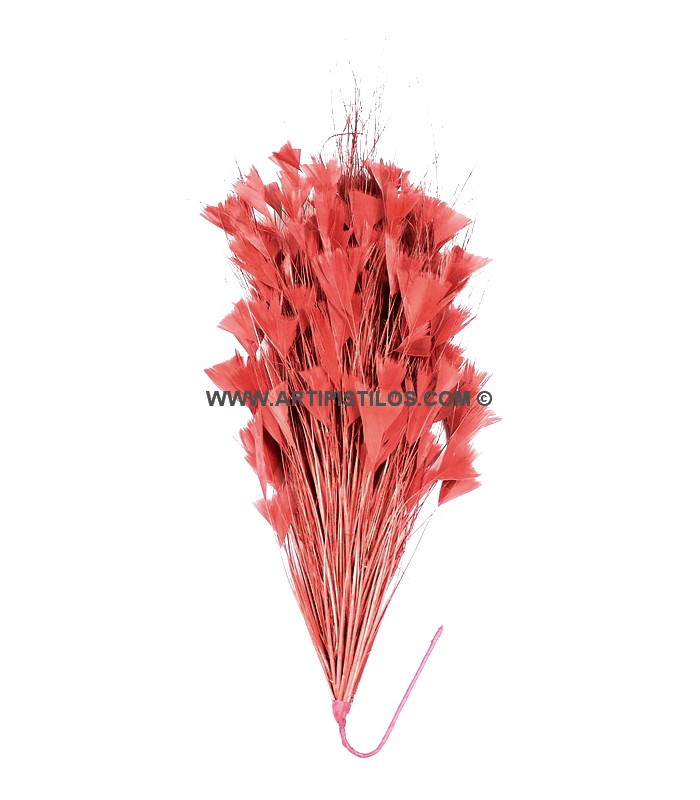 MONTAJE DE PLUMAS GALLO/AVESTRUZ 30 X 15 cm