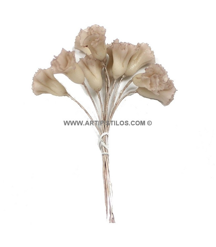 CLAVEL DE PORCELANA FRIA
