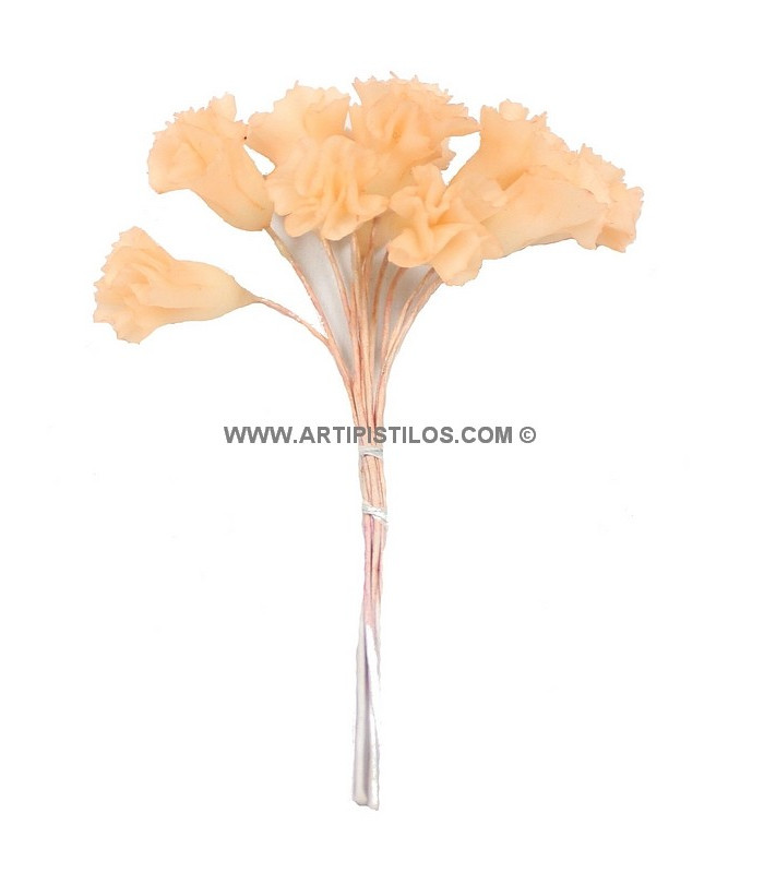 CLAVEL DE PORCELANA FRIA