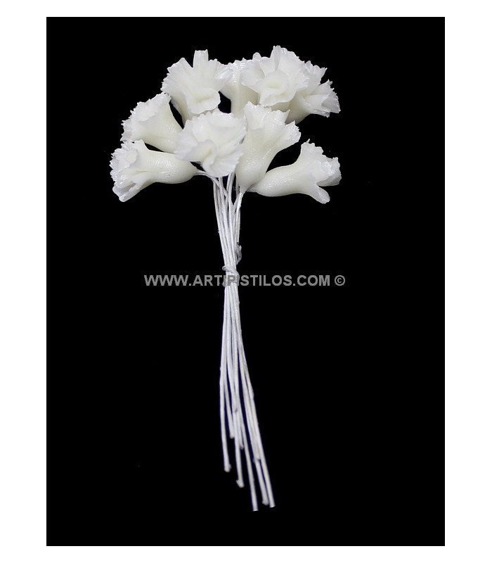 CLAVEL DE PORCELANA FRIA