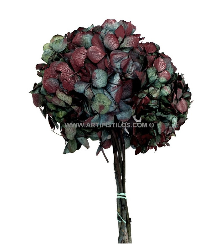 HORTENSIA PRESERVED FLOWER. BOUQUET
