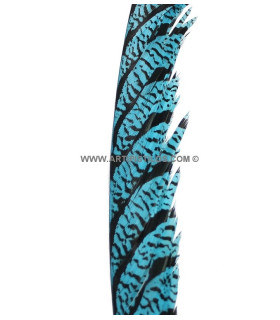 Pluma De Faisán Lady Amherst 50-62,5 Cms. Turquesa 60 Cms. - colores para
