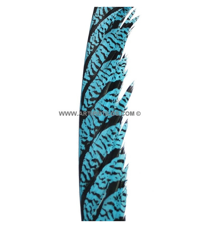 PHEASANT FEATHER LADY AMHERST 50-62,5 CMS.
