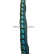 PENA DE FAISÃO LADY AMHERST 55 - 60 CMS.