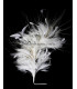 FEATHERS MOUNT