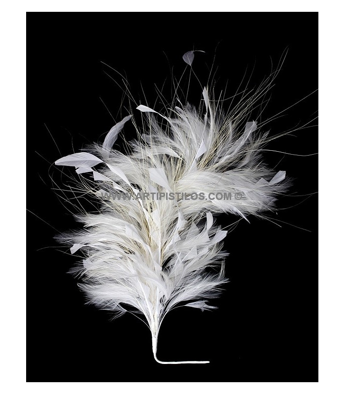 FEATHERS MOUNT