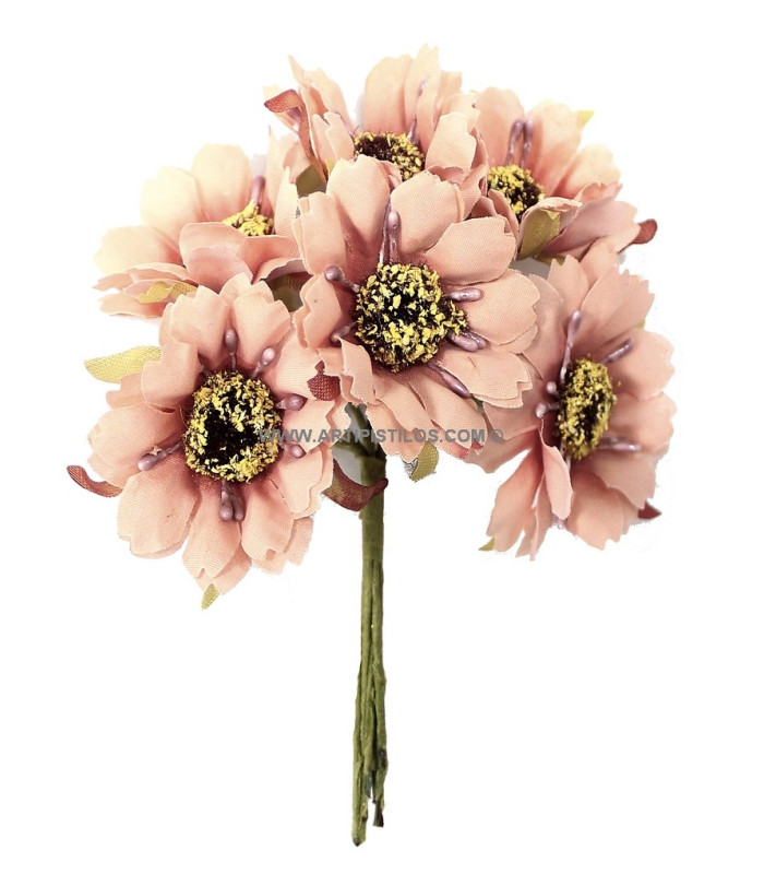 BOUQUET 6 DAISY FLOWERS